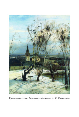 Родная речь. Книга для чтения в 1 классе начальной школы. Соловьёва Е.Е. и др. 1954