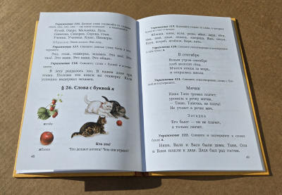 Учебник русского языка для 1 класса начальной школы. Поляков В.Г., Чистяков В.М. 1952 (ред. 2025)