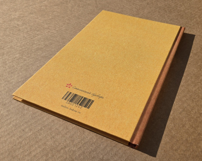 Учебник русского языка для 1 класса начальной школы. Поляков В.Г., Чистяков В.М. 1952 (ред. 2025)