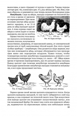 Естествознание. Учебник для 4 класса начальной школы. Тетюрев В.А. 1945